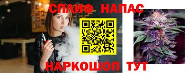 Альфа ПВП Кингисепп
