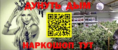Альфа ПВП Кингисепп