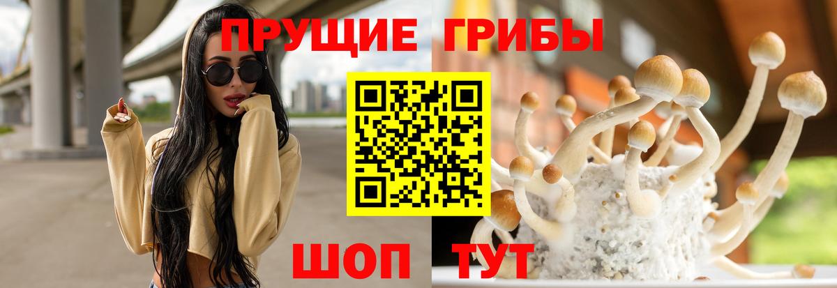 где найти наркотики  Вход с VPN  Хасавюрт  Галлюциногенные грибы Magic Shrooms 