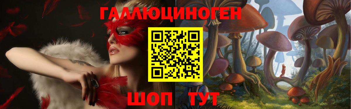 Псилоцибиновые грибы ЛСД Хасавюрт